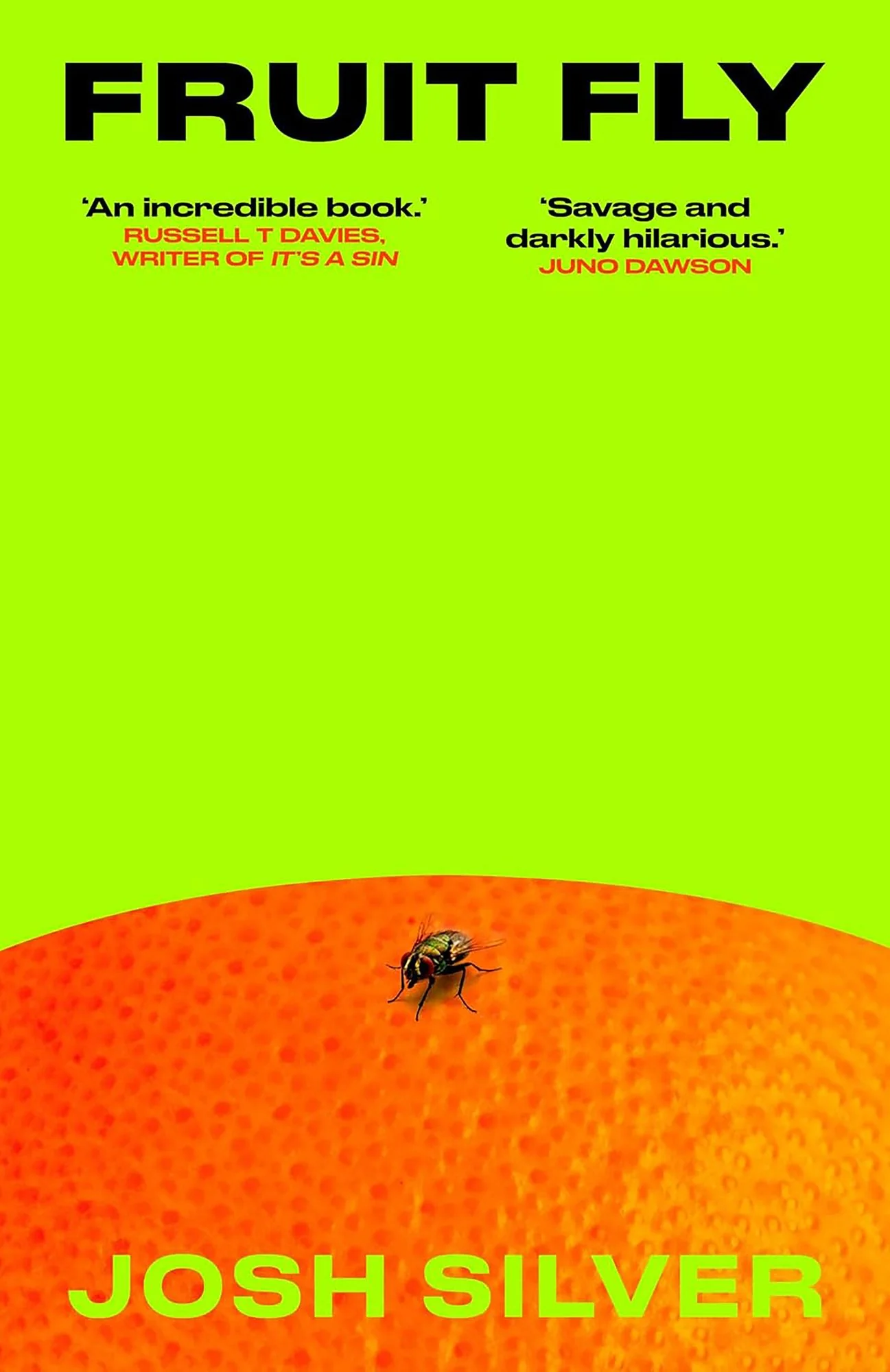 Cover of Fruit Fly by Josh Silver, a fly on an orange